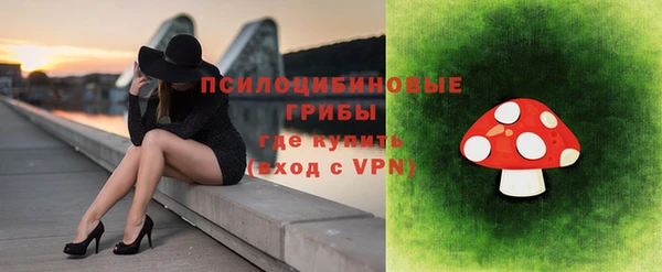 мяу мяу мука Бородино