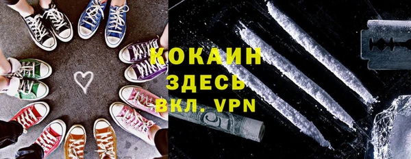 мяу мяу мука Бородино
