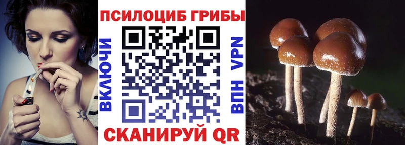 Галлюциногенные грибы мухоморы  Данилов 